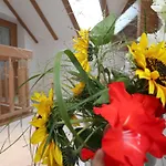 Haus Doris Διαμέρισμα Rickenbach (Baden-Wurttemberg)