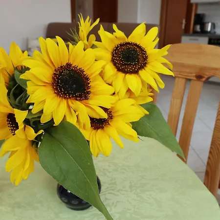 아파트 Haus Doris